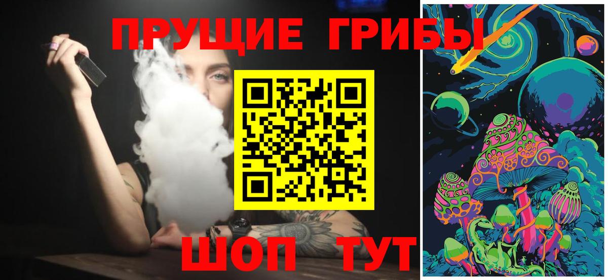 Псилоцибиновые грибы прущие грибы  Вход с VPN  Людиново  где продают наркотики  Псилоцибиновые грибы прущие грибы 